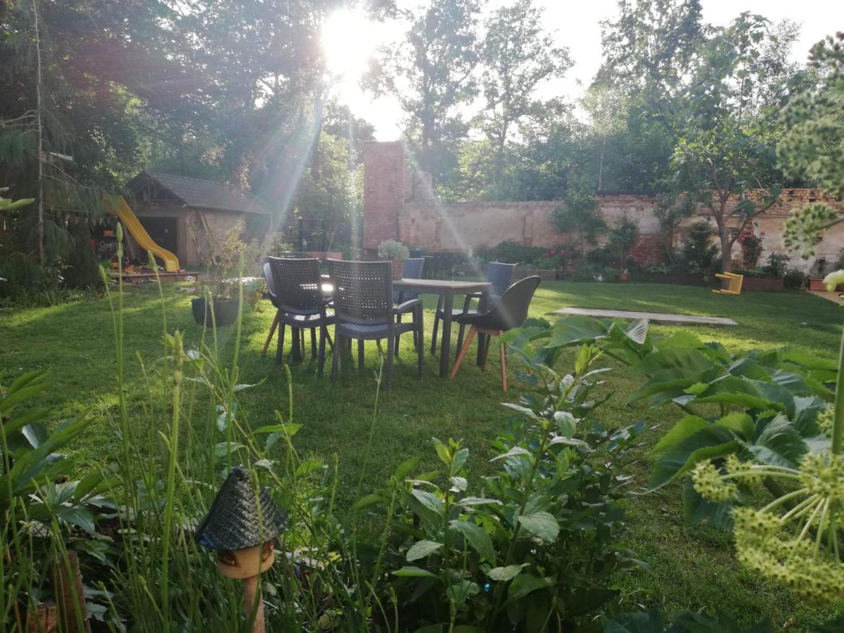Fewo, 55 Qm, Voll Ausgestattet, Mit Sued-Loggia, Naehe Voelkerschlachtdenkmal ライプツィヒ エクステリア 写真